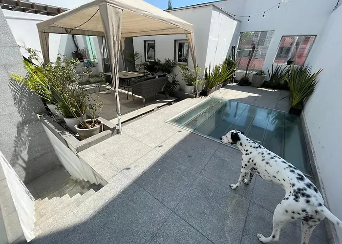 Todo Lo Necesario Homestay Mexico City